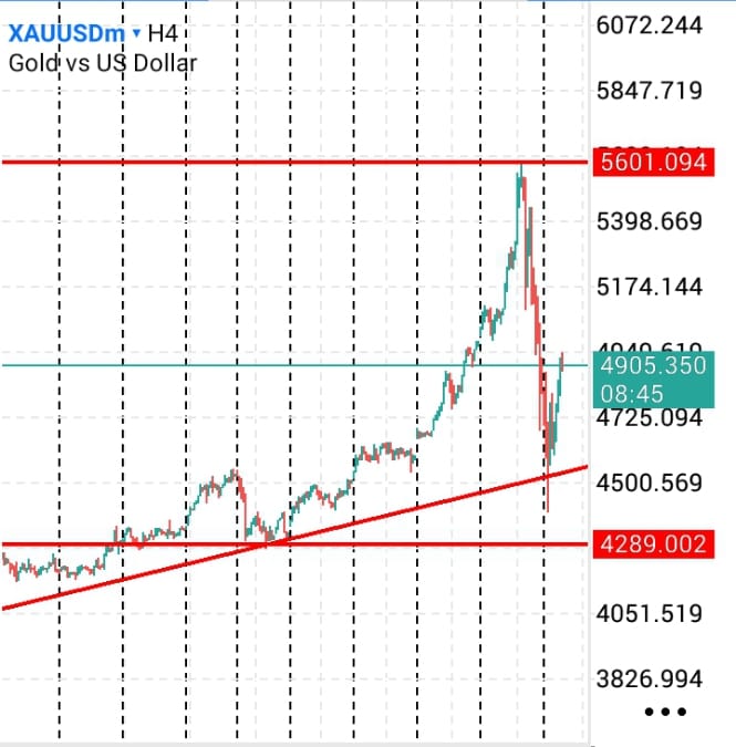 screenshot 20260203 125115 1